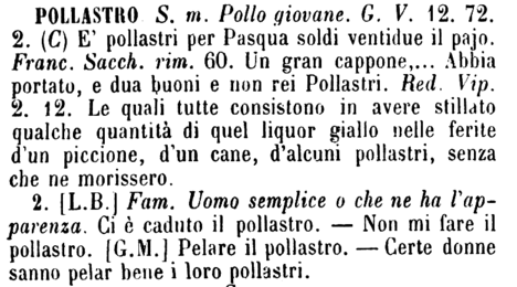 pollastro