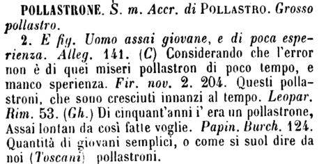 pollastrone