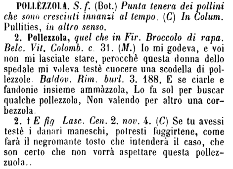 pollezzola