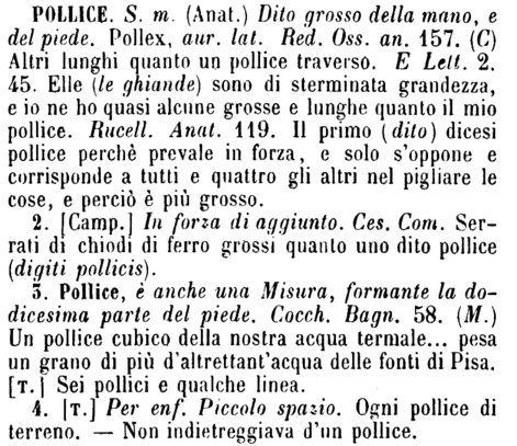 pollice