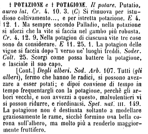 potazione