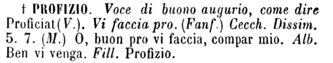 profizio