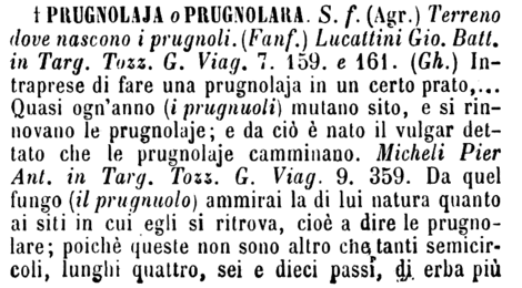 prugnolaja