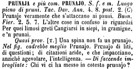 prunaja