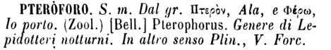 pteroforo