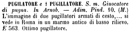 pugilatore