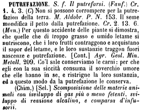 putrefazione