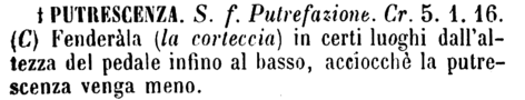 putrescenza