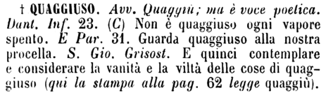 quaggiuso