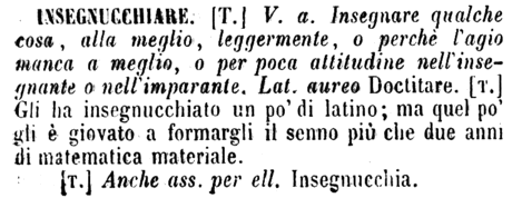 insegnucchiare