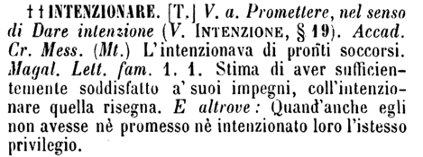 intenzionare