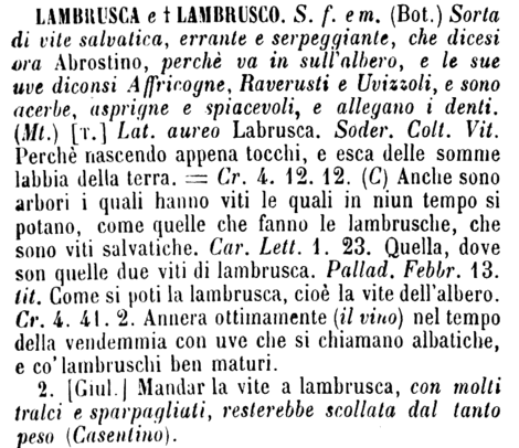 lambrusca