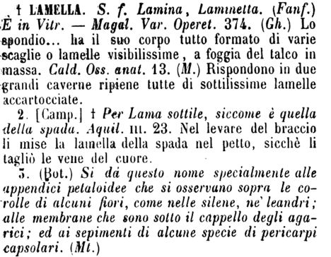 lamella