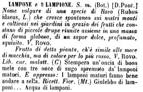 lampone