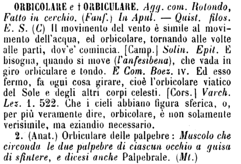 orbicolare