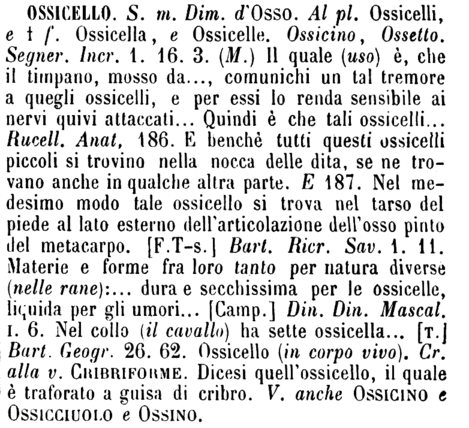 ossicello