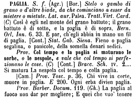 paglia