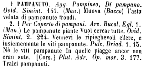 pampanuto