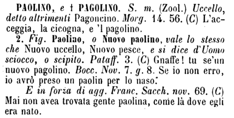 paolino