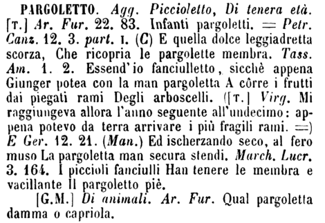 pargoletto