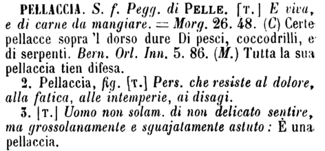 pellaccia