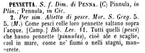 pennetta